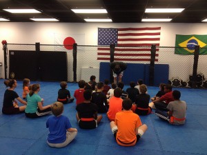 Victory Martial Arts Naperville-Schools